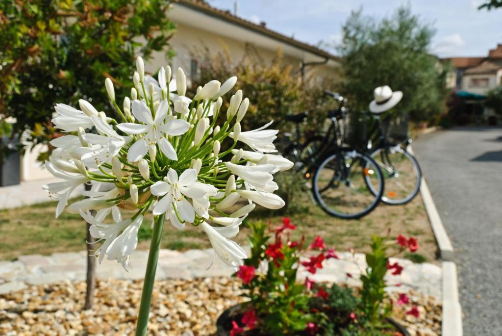Logis Hotel L'Oliveraie Cognac Eksteriør bilde